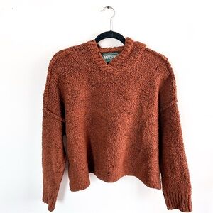American Eagle Outfitters V-Neck Sweater in Warm Rust